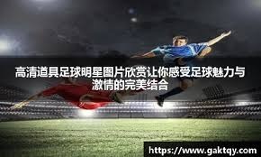 晚旗报：阿森纳旧将帕尔特伊即将加盟黄潜，将签约1+1年